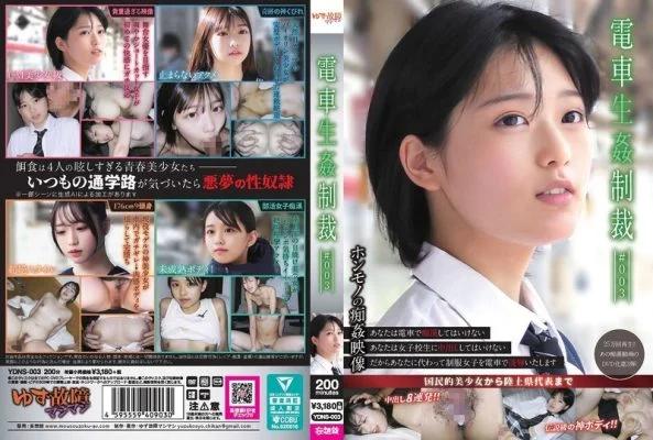 YDNS-003 Train Sex Punishment #003