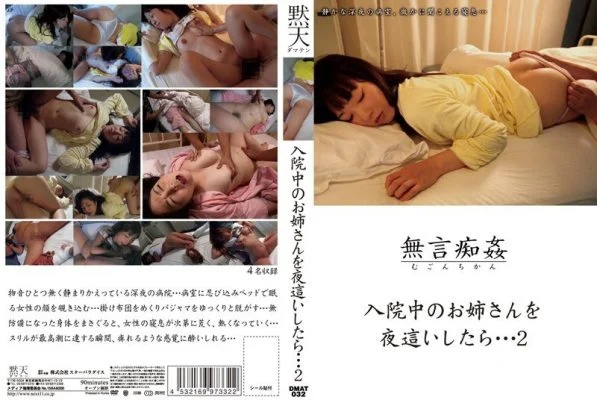 DMAT-032 Silent Molestation: When I playd my hospitalized sister at night… 2