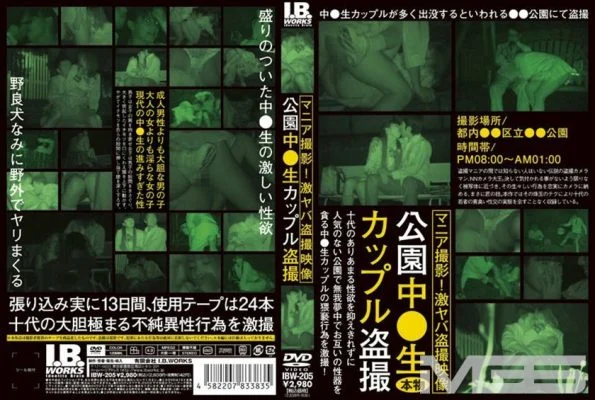 IBW-205 In the park Γùï raw couple voyeur – South Aoi