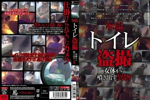 SINO-053 Embarrassment Toilet Voyeur Foreign Objects Spouting From A Woman’s Body