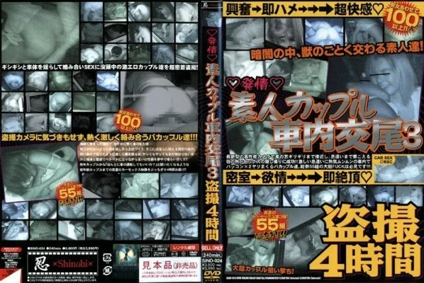 SINO-024 Γùå Estrus Γùå Amateur Couple Copulation In Car 3 Voyeur 4 Hours