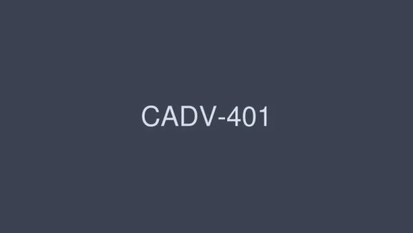 CADV-401 Maid costume 8 hours DX