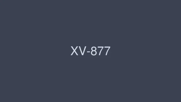 XV-877 Let Haruka Ito’s heart beat! !
