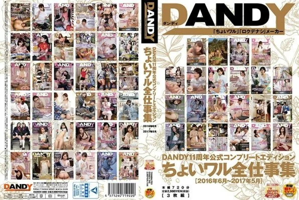 DANDY-566 DANDY 11th Anniversary Official Complete Edition Choiwaru All Work Collection