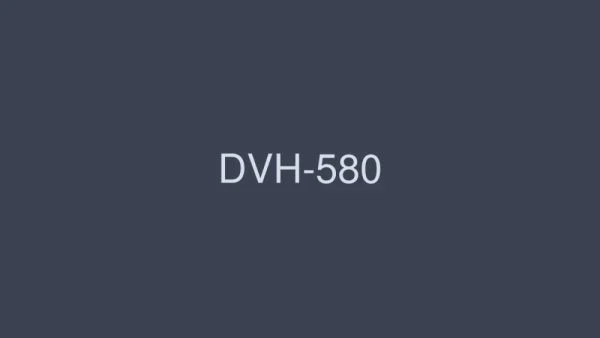 DVH-580 Discerning Handicraft 4 Hours SP 40 People’s Handmade 16