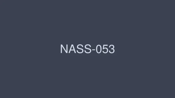 NASS-053 Obedient Housewives: Housewives who are humiliated, punished, and trained