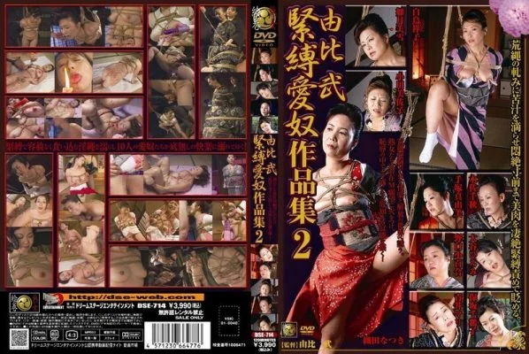 DSE-714 Yui Takeshi Bondage Lover Works 2