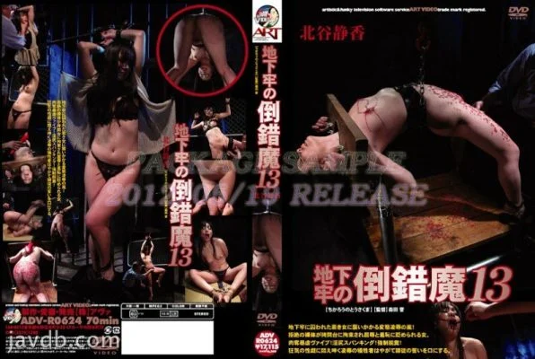 ADV-R0624 Dungeon Perversion 13