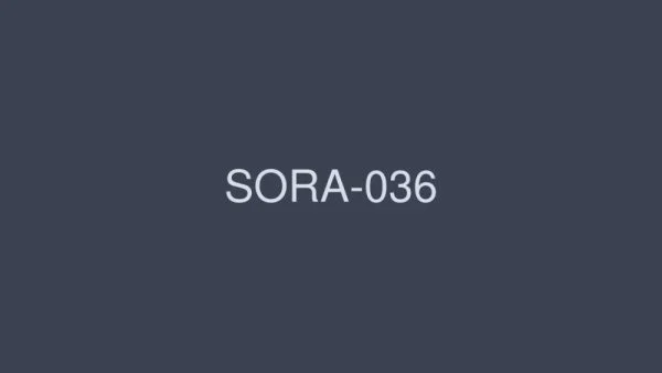 SORA-036 Exposed Affair Travelogue A Boxed Daughter Who Lives At Home With Her Parents Until She’s 27 Years Old Now That She’s A Month Ahead From Getting Married… Nozomi Hanyu