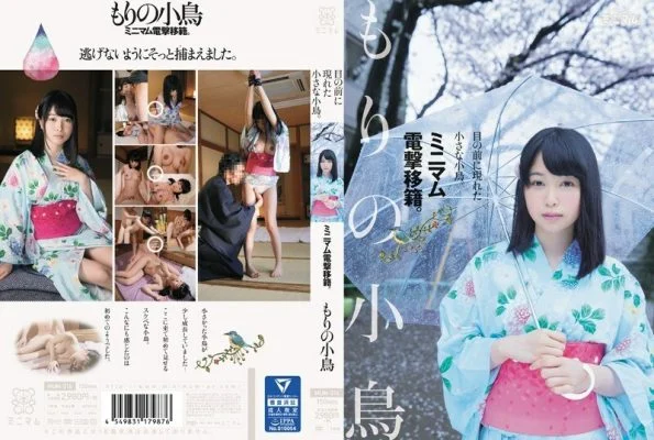MUM-316 A small bird that appeared in front of me. Minimum electric shock transfer. Kotori Morino