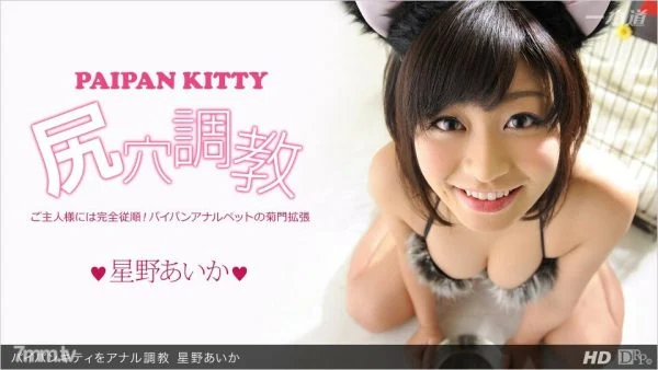 013113_523 Anal training pie bread kitty