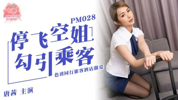 PM028 Grounded flight attendant seduce passengers to seduce fellow travelers to have sex in hotel