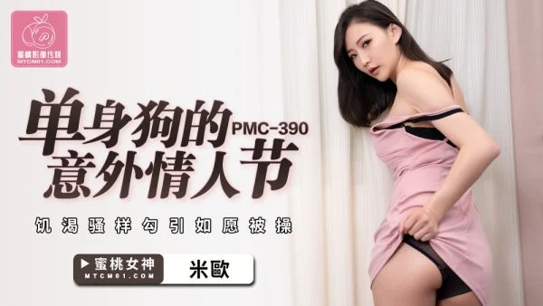 PMC390 Single Dog’s Accident