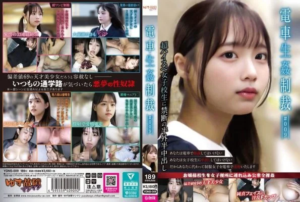 YDNS-009 Train Re Punishment #009