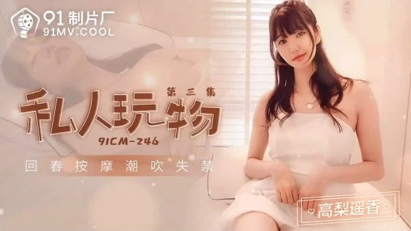 91CM-246 Private Toy 3: Haruka Takahashi